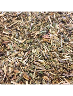 Image de Saponaire - Partie aérienne coupée 100g - Tisane de Saponaria officinalis depuis ▷▷ Tisanes de plantes commençant par la lettre S