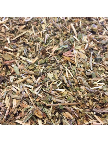 Achetez Saponaire - Partie aérienne coupée 100g - Tisane de Saponaria officinalis à l'herboristerie Louis Image principale de Saponaire - Partie aérienne coupée 100g - Tisane de Saponaria officinalis