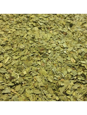 Image de Séné Bio - Feuilles coupées 100g - Tisane de Senna alexandrina Mill. depuis Résultats de recherche pour "tisane-plantain"