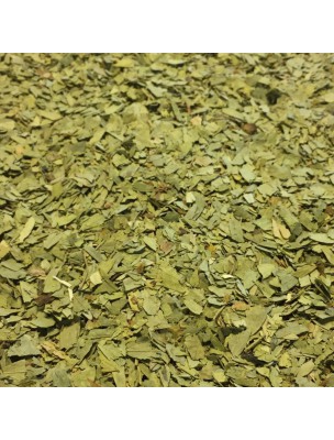 https://www.louis-herboristerie.com/16792-home_default/senna-bio-cut-leaves-100g-herbal-tea-from-senna-alexandrina-mill.jpg