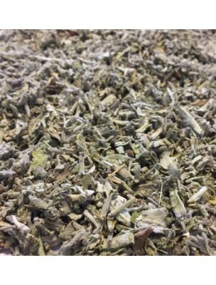 Image de Sage Bio - Broken leaves 100g - Herbal tea from Salvia officinalis L. depuis Plants balance your hormonal system (3)