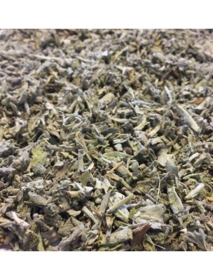 Image de Sauge Bio - Feuilles coupées 100g - Tisane de Salvia officinalis L. via Dentifrice bio Sauge - Force des gencives - 75ml - Argiletz