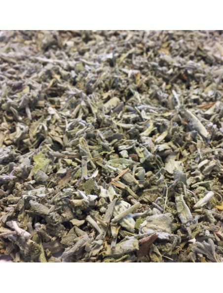 Sauge Bio - Feuilles coupées 100g - Tisane de Salvia officinalis L.