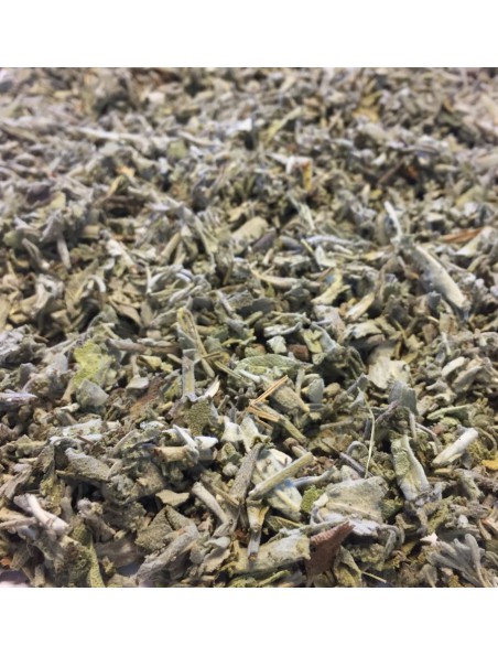 Achetez Sauge Bio - Feuilles coupées 100g - Tisane de Salvia officinalis L. à l'herboristerie Louis Image principale de Sauge Bio - Feuilles coupées 100g - Tisane de Salvia officinalis L.