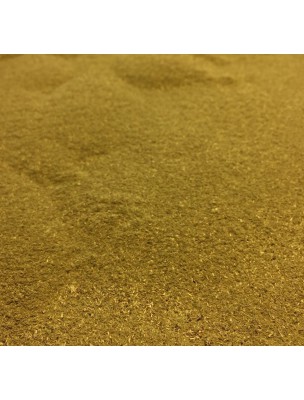 Image de Horsetail organic - Aerial part in powder 100g - Equisetum arvense L. depuis Herbalist's Organic Medicinal Plants in Powders