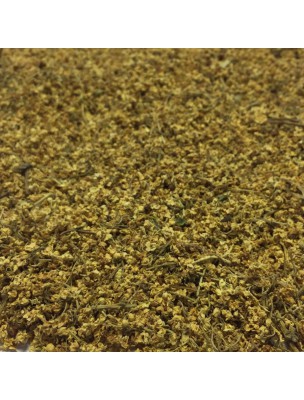 Image de Sureau Bio - Fleur 100g - Tisane de Sambucus nigra L. via Sirop Apaisant Bio - Gorge - Herbalgem