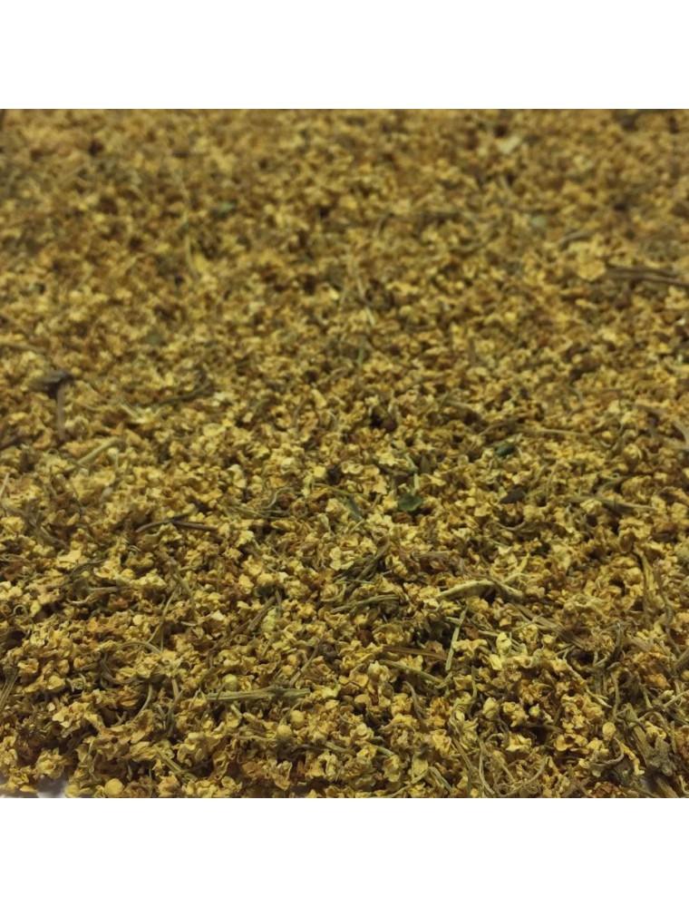 Image principale de la modale pour Sureau Bio - Fleur 100g - Tisane de Sambucus nigra L.