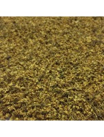 Image de Sureau Bio - Fleur 100g - Tisane de Sambucus nigra L. depuis ▷▷ Tisanes de plantes commençant par la lettre S