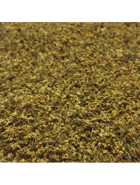 Image principale de Sureau Bio - Fleur 100g - Tisane de Sambucus nigra L.