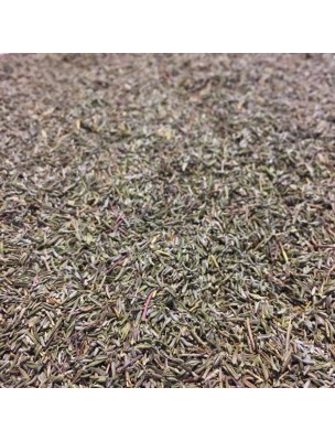 Image de Thym Bio - Feuilles 100g - Tisane de Thymus vulgaris L via Achetez Serpolet Bio - Sommité fleurie coupée 100g