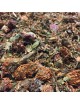 Trèfle rouge - Fleurs 100g - Tisane de Trifolium pratense L.