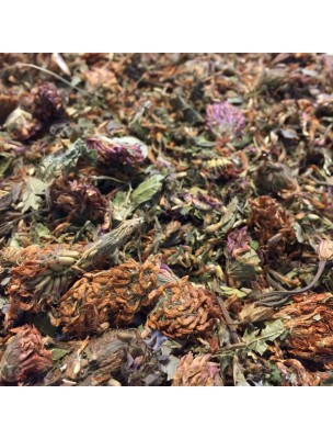 Image de Trèfle rouge - Fleurs 100g - Tisane de Trifolium pratense L. via Sauge Bio 50 ml - Biover