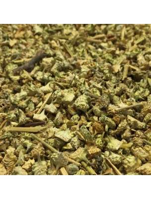 Image de Tribulus - Fruit 100g - Tisane de Tribulus terrestris via Damiana XXI - Sans Alcool - SoriaNatural