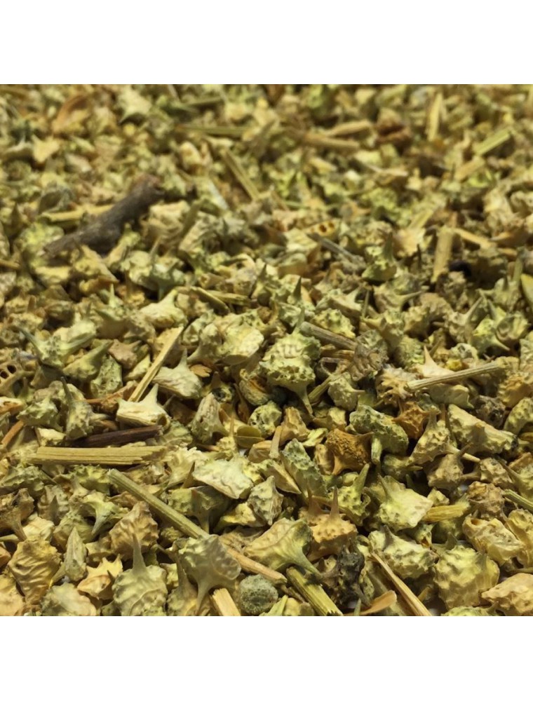 Image principale de la modale pour Tribulus - Fruit 100g - Tisane de Tribulus terrestris