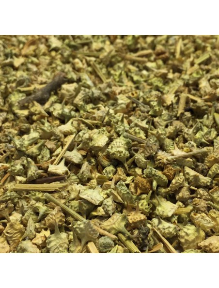 Tribulus - Fruit 100g - Tisane de Tribulus terrestris