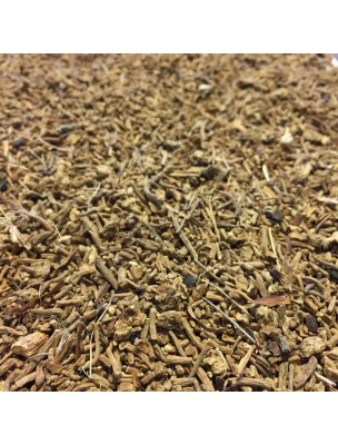 Image de Valériane - Racine coupée 100g - Tisane de Valeriana officinalis L. depuis Résultats de recherche pour "Guide des contr"