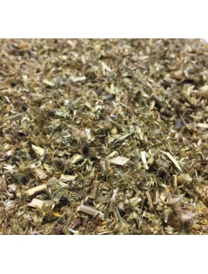 Image de Verge d'Or Bio - Partie aérienne coupée 100g - Tisane de Solidago virgaurea depuis Résultats de recherche pour "Tisane Confort "