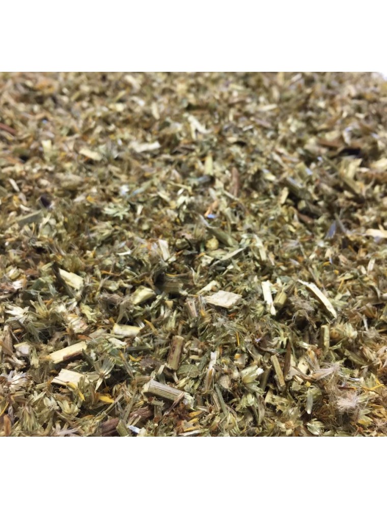 Image principale de la modale pour Verge d'Or Bio - Partie aérienne coupée 100g - Tisane de Solidago virgaurea