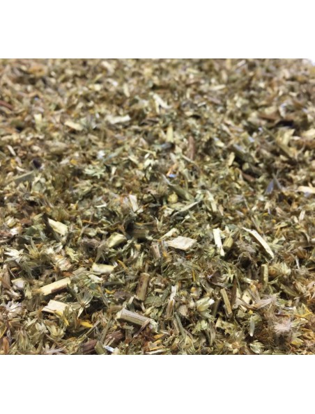 Verge d'Or Bio - Partie aérienne coupée 100g - Tisane de Solidago virgaurea