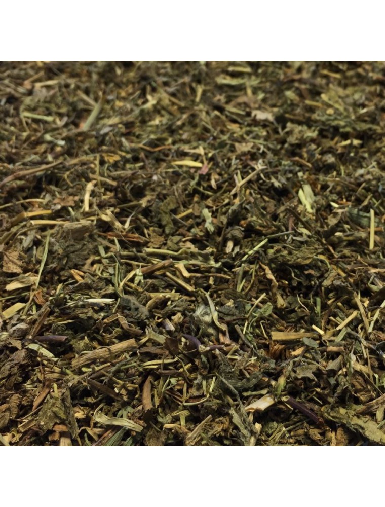 Image principale de la modale pour Véronique d'Europe - Partie aérienne coupée 100g - Tisane Veronica officinalis