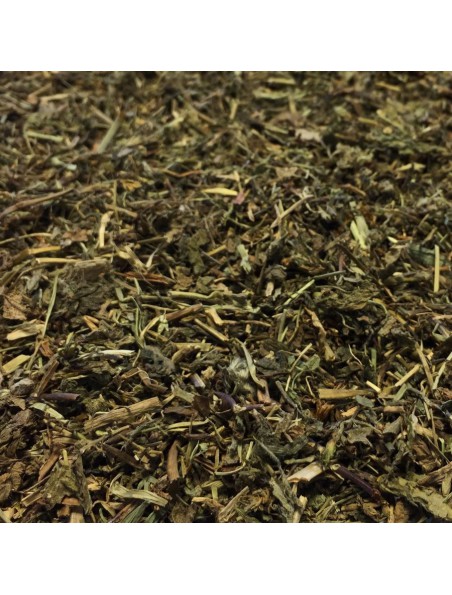 Véronique d'Europe - Partie aérienne coupée 100g - Tisane Veronica officinalis