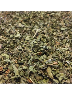 Image de Verveine citronnée (odorante) Bio - Feuilles brisures 50g - Tisane Aloysia citriodora Palau via Camomille romaine bio (50g) - Tisane Anthemis nobilis