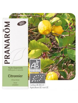 Image de Citron Bio - Huile essentielle de Citrus limon 10 ml - Pranarôm via Eau florale de Douglas Bio - 200 ml - Abiessence