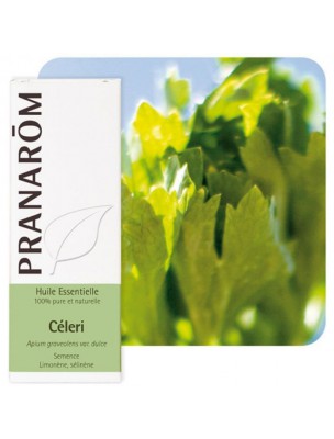 Image de Celery (marsh bark) - Essential oil Apium graveolens var. dulce 10 ml Pranarôm depuis Essential oils for digestion