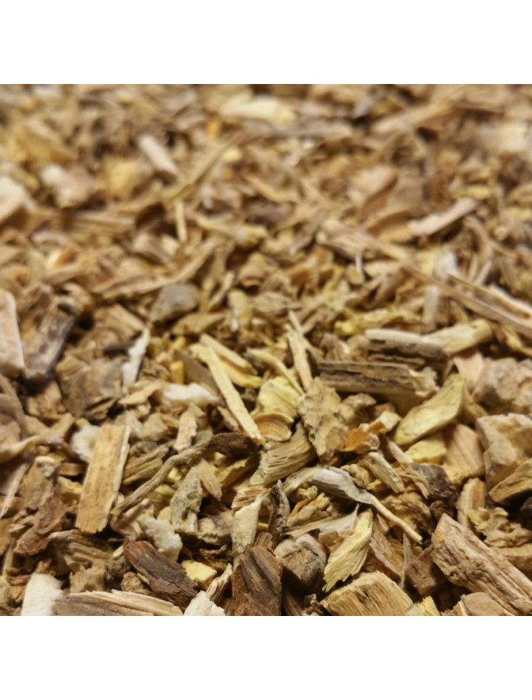 Fenouil - Racine coupée 100g - Tisane de Foeniculum dulce