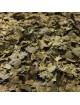 Noyer - Feuilles coupées 100g -Tisane de Juglans regia L.