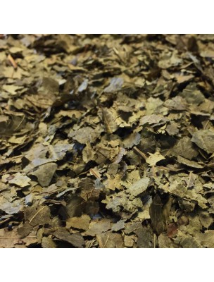 Image de Noyer - Feuilles coupées 100g -Tisane de Juglans regia L. depuis ▷▷ Tisanes de plantes commençant par la lettre N