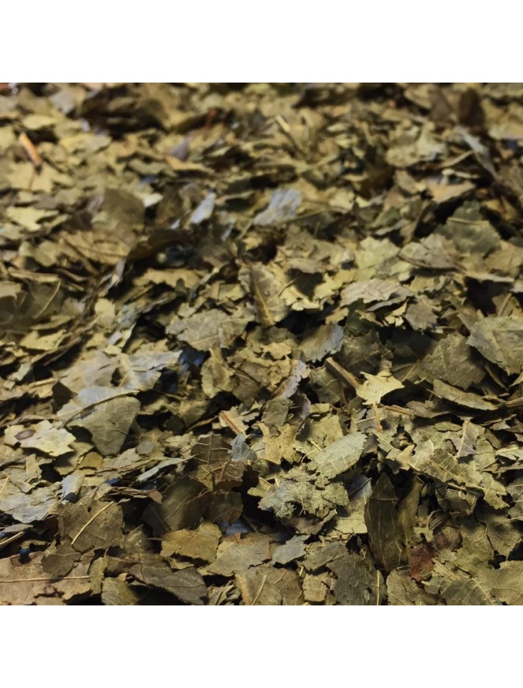 Image principale de la modale pour Noyer - Feuilles coupées 100g -Tisane de Juglans regia L.