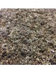 Piloselle - Partie aérienne coupée 100g - Tisane de Hieracium pilosella L.