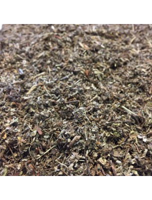 Image de Piloselle - Partie aérienne coupée 100g - Tisane de Hieracium pilosella L. depuis Commandez les produits Louis à l'herboristerie Louis