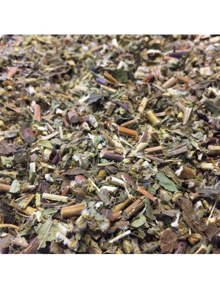 Image principale de Verge d'Or - Partie aérienne coupée 100g - Tisane de Solidago virgaurea L.