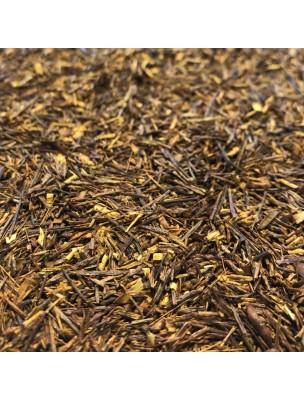 Image de Rooibos Bio - Partie aérienne 100g - Tisane de Aspalathus linearis via Cereccino Classique Bio - Substitut de café - Aromandise