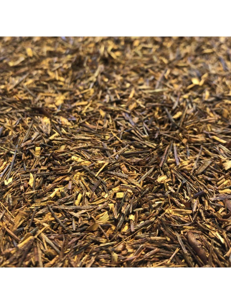 Image principale de la modale pour Rooibos Bio - Partie aérienne 100g - Tisane de Aspalathus linearis