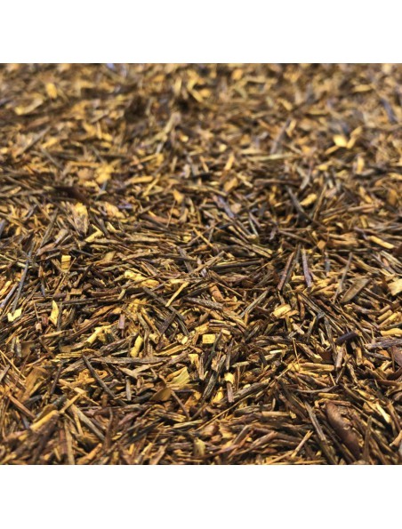 Image principale de Rooibos Bio - Partie aérienne 100g - Tisane de Aspalathus linearis