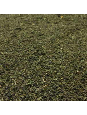 Image de Ortie Piquante - Fruit 100g - Tisane Urtica dioica L. depuis louis-herboristerie