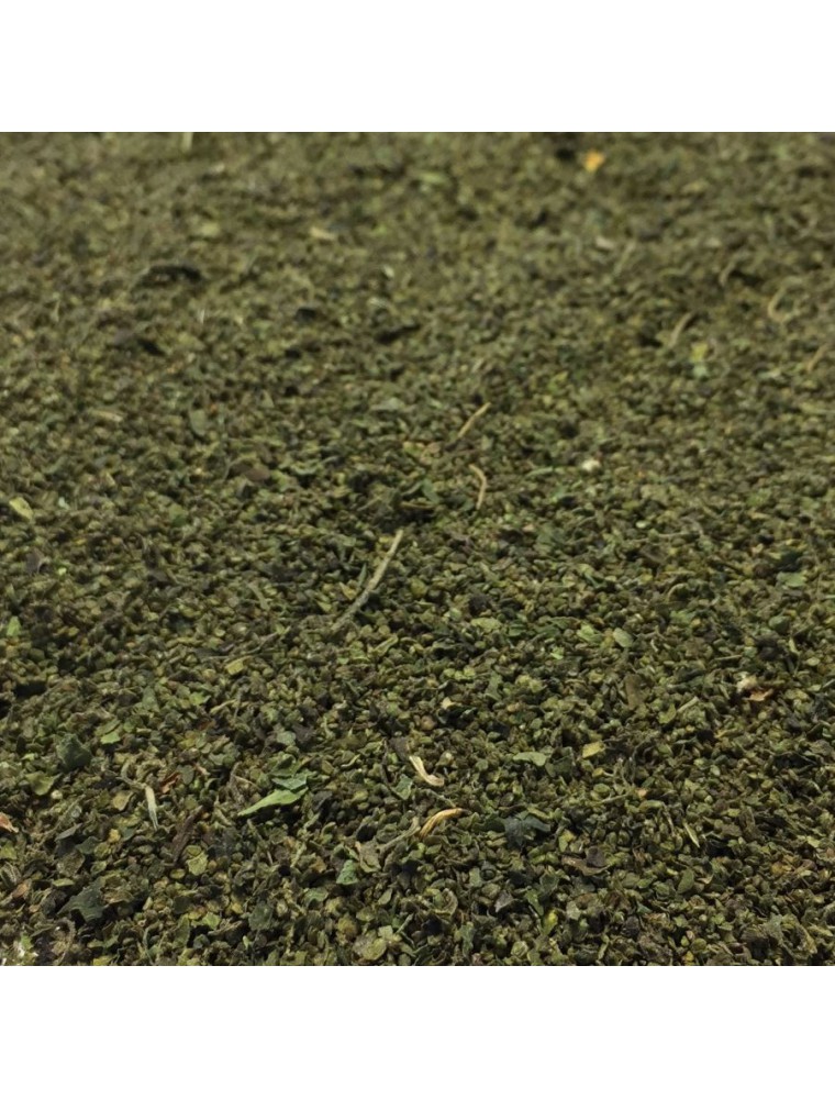 Image principale de la modale pour Ortie Piquante - Fruit 100g - Tisane Urtica dioica L.