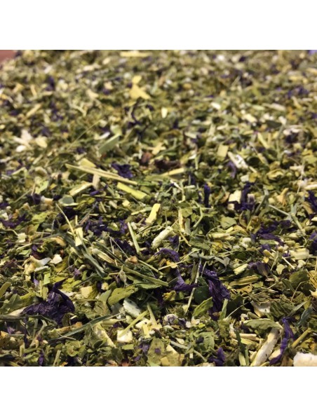 Mauve Bio - Feuilles coupées 100g - Tisane Malva sylvestris L.