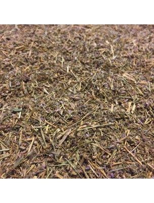 Image de Arenaria Rubra (Red sandwort) - Cut aerial part 100g - Herbal tea from Arenaria Rubra depuis Herbs of the herbalist's shop Louis (2)