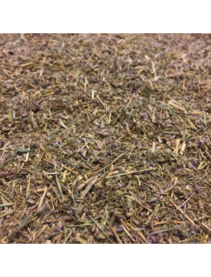 Image de Arenaria Rubra (Sabline rouge) - Partie aérienne coupée 100g - Tisane de Arenaria Rubra depuis ▷▷ Tisanes de plantes commençant par la lettre A (2)