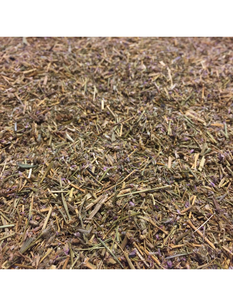 Image principale de la modale pour Arenaria Rubra (Sabline rouge) - Partie aérienne coupée 100g - Tisane de Arenaria Rubra