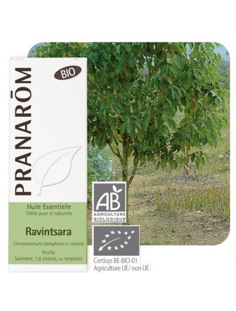 Image principale de la modale pour Ravintsara Bio - Huile essentielle de Cinnamomum camphora 10 ml - Pranarôm