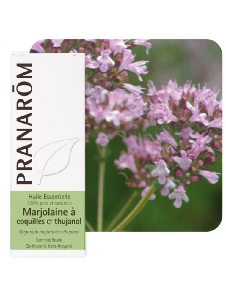 Marjolaine à coquilles ct Thujanol - Origanum majorana ct thujanol 5 ml - Pranarôm Marjolaine à coquilles ct Thujanol - Origanum majorana ct thujanol 5 ml - Pranarôm