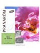 Rose de Damas Bio - Huile essentielle Rosa damascena 5 ml - Pranarôm