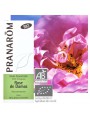 Image de Organic Damask Rose - Rosa damascena Essential Oil 5 ml - Pranarôm via Buy Deodorant Spray Rose Hip - Floral Fragrance 100 ml -