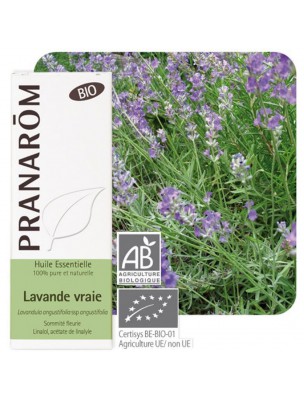 Image de Lavande officinale (vraie) Bio - Huile essentielle Lavandula angustifolia 10 ml - Pranarôm via Guide pratique d'Aromathérapie - Dominique Baudoux