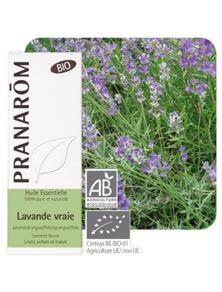 Lavande officinale (vraie) Bio - Huile essentielle Lavandula angustifolia 10 ml - Pranarôm